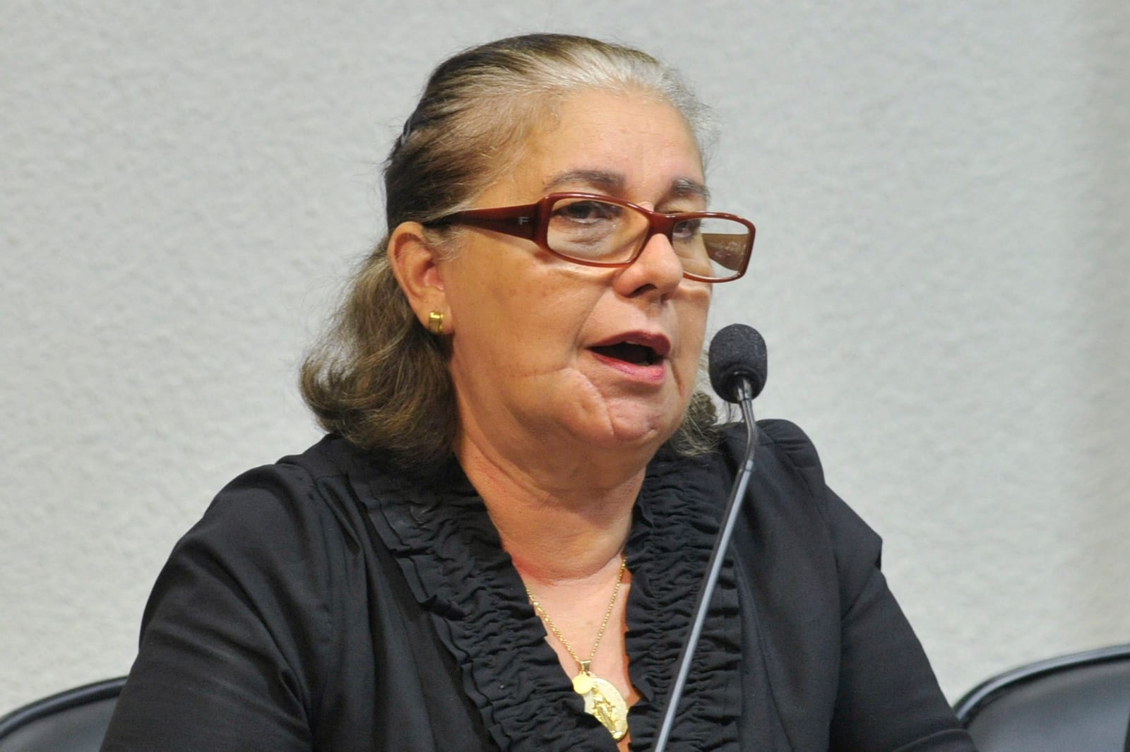 Eliana Castro defende produção integrada para agricultura familiar no TO