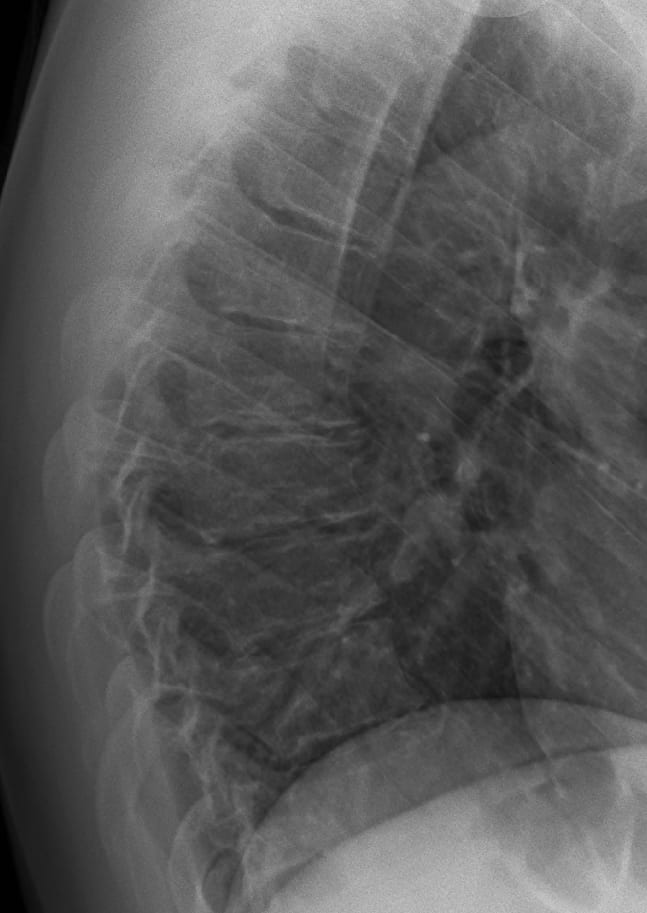 Osteopatia tem ganhado espaço entre os francanos no combate àquelas dores chatas