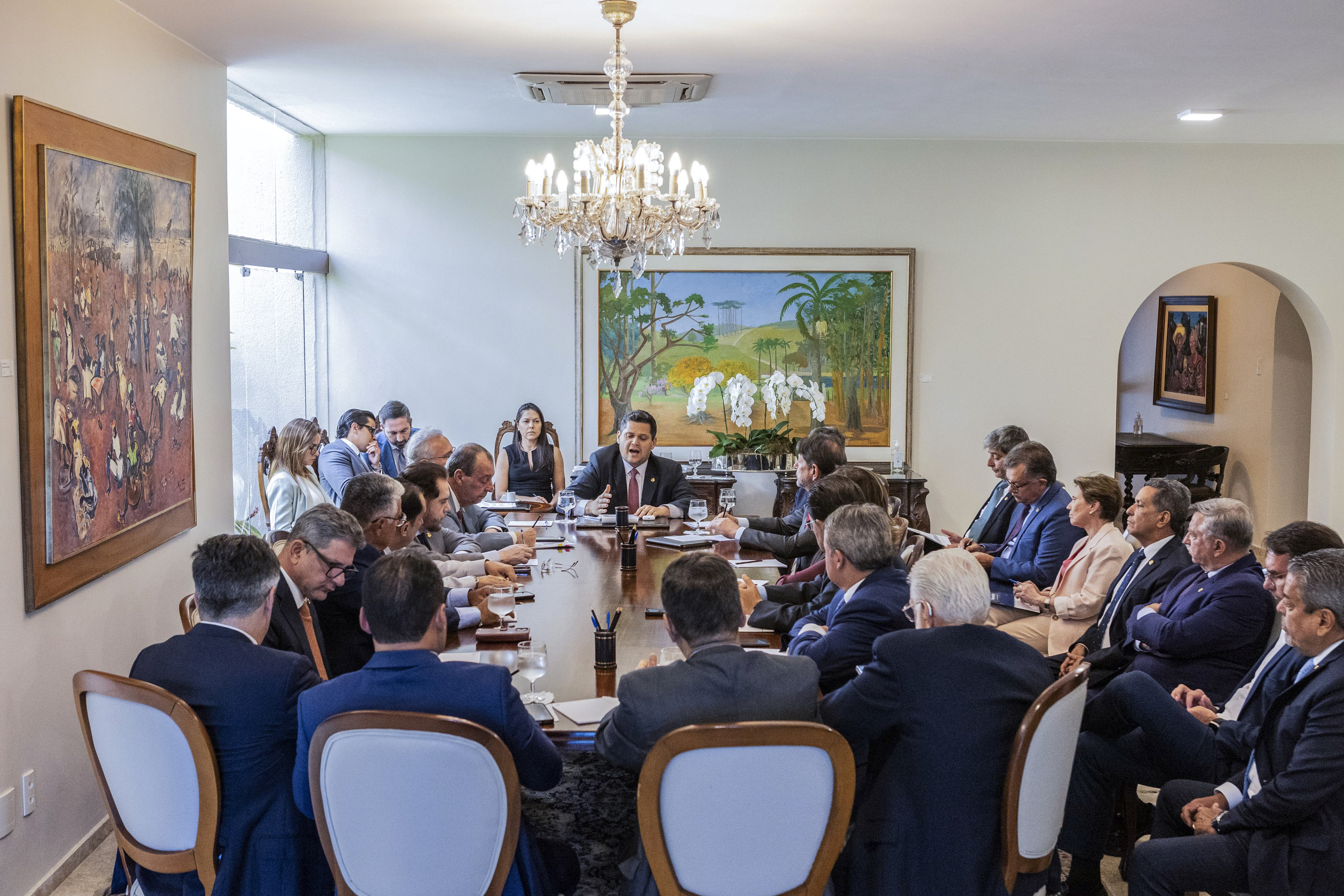 Partido Progressistas diz não a Tereza Cristina na chapa de Flávio