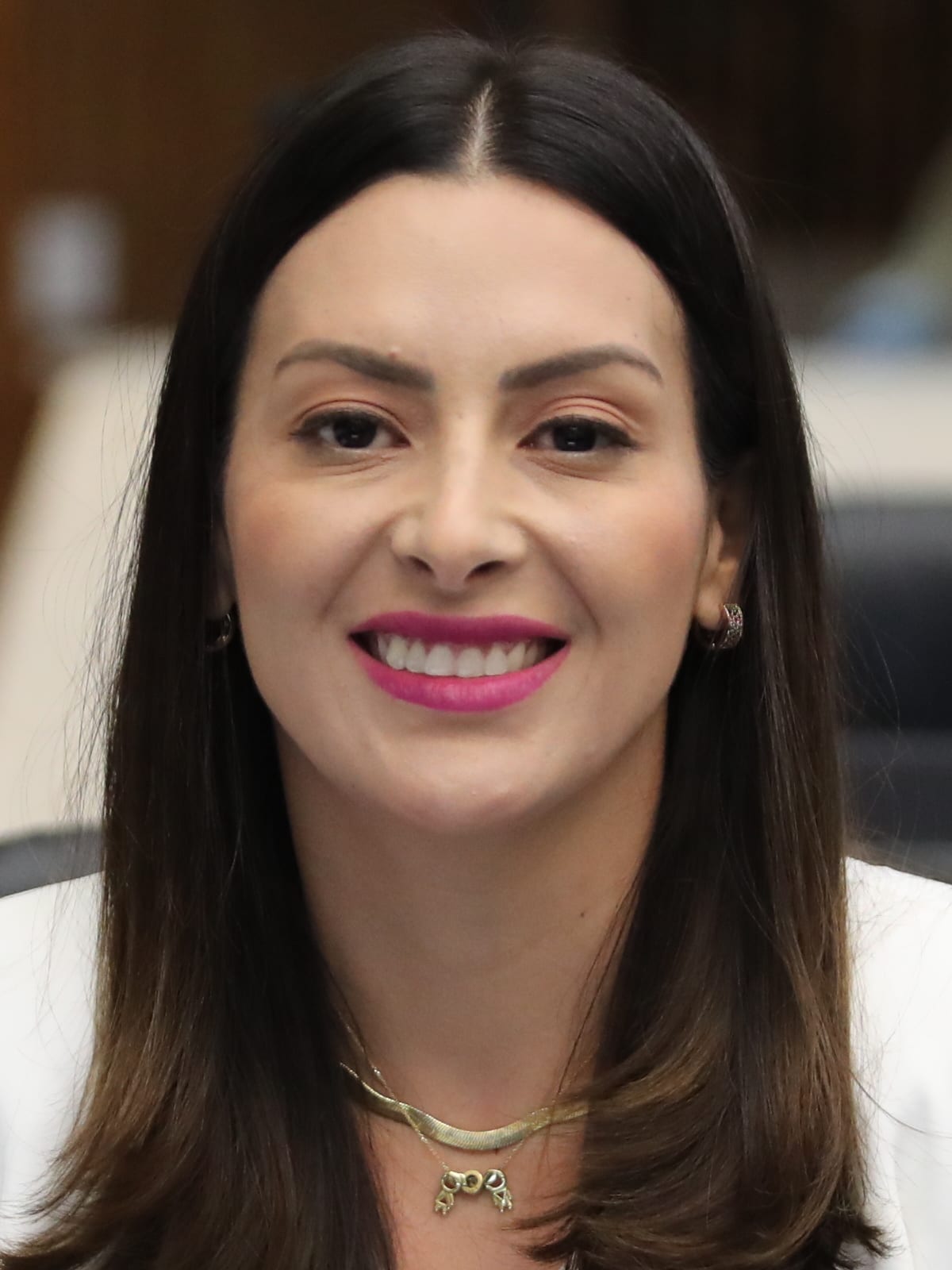 Mabel apresenta PL para proibir a ‘taxa rosa’ no Paraná