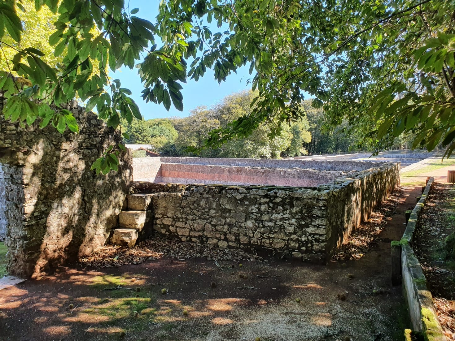 A distribuição da riqueza II