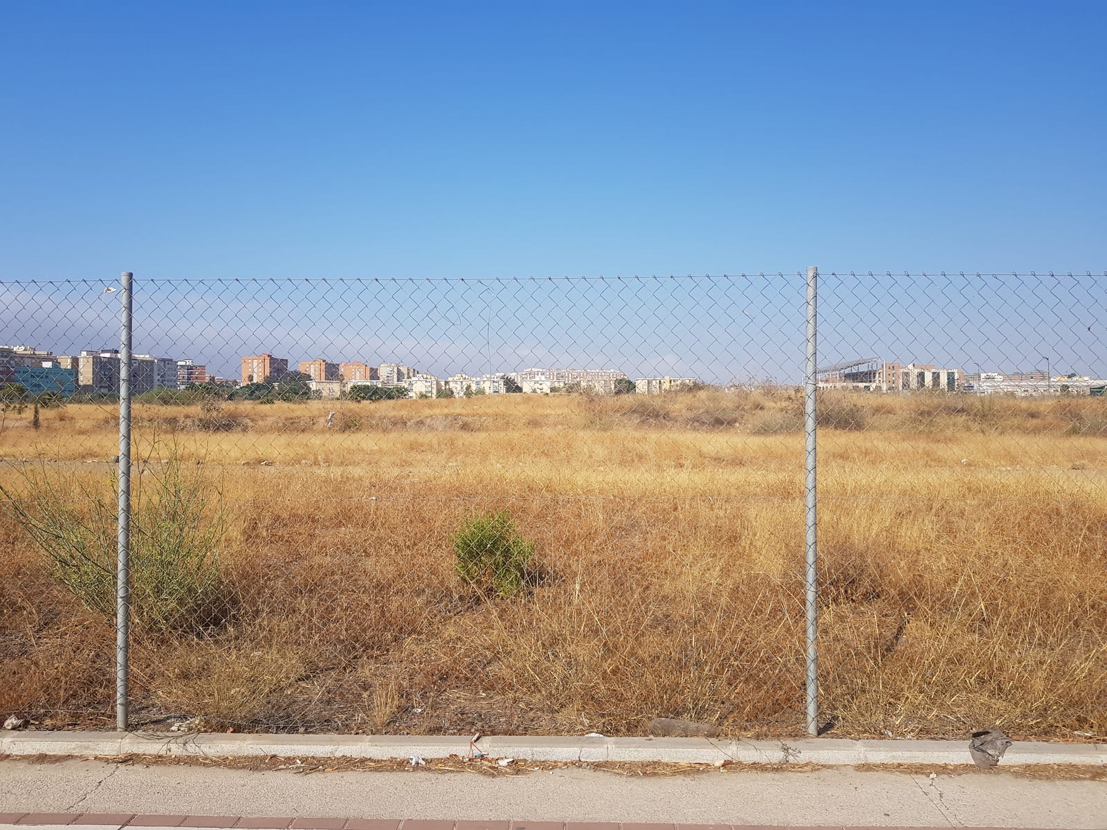 Erechim inaugura 5º Bosque Urbano e primeiro plantio público de araucária enxertada