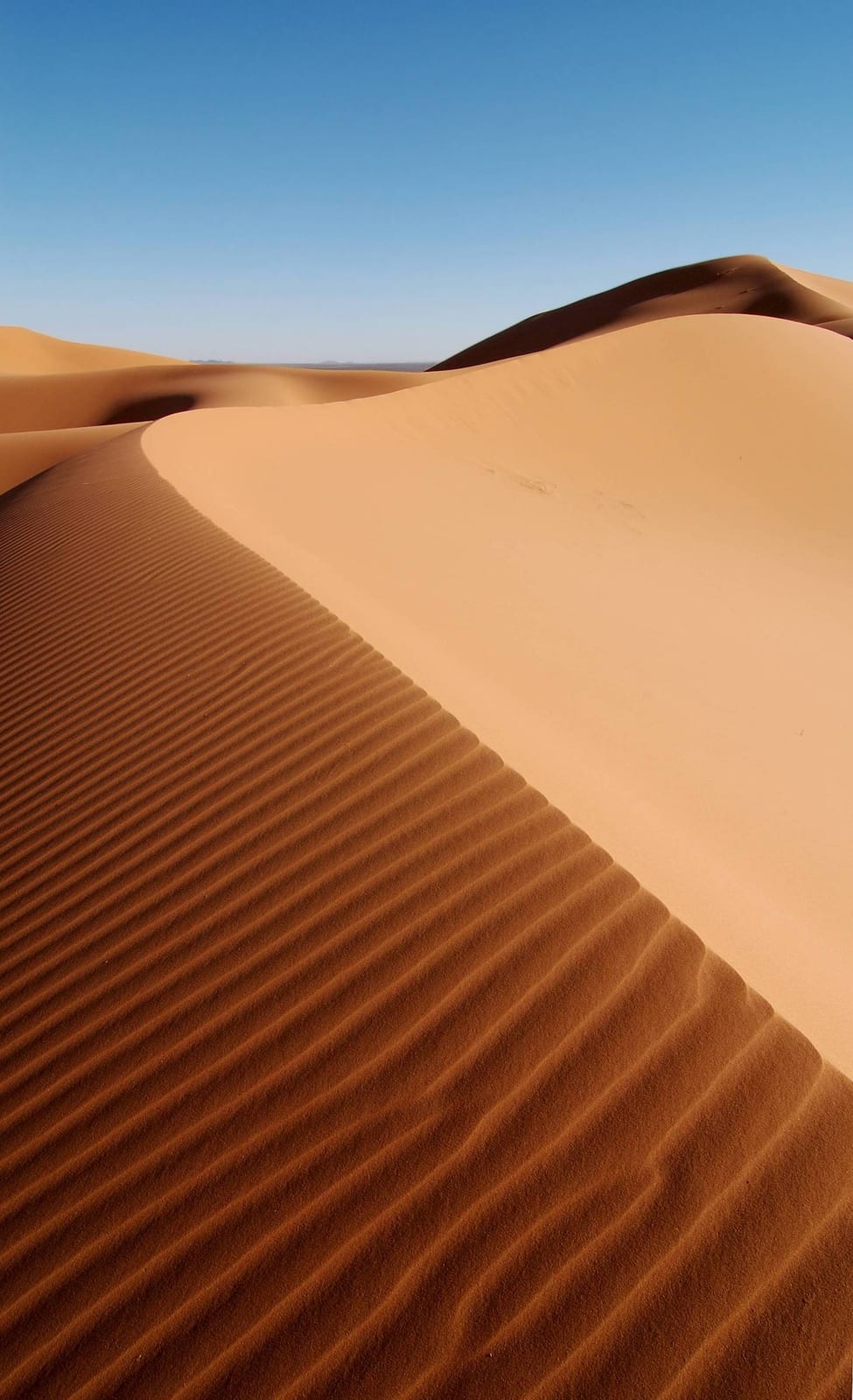 Vox pede que FIFA exclua Marrocos da organização da Copa-2030