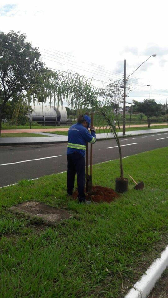 Saev Ambiental lança ‘Um Novo Tempo’ com R$ 1,4 milhão em investimentos