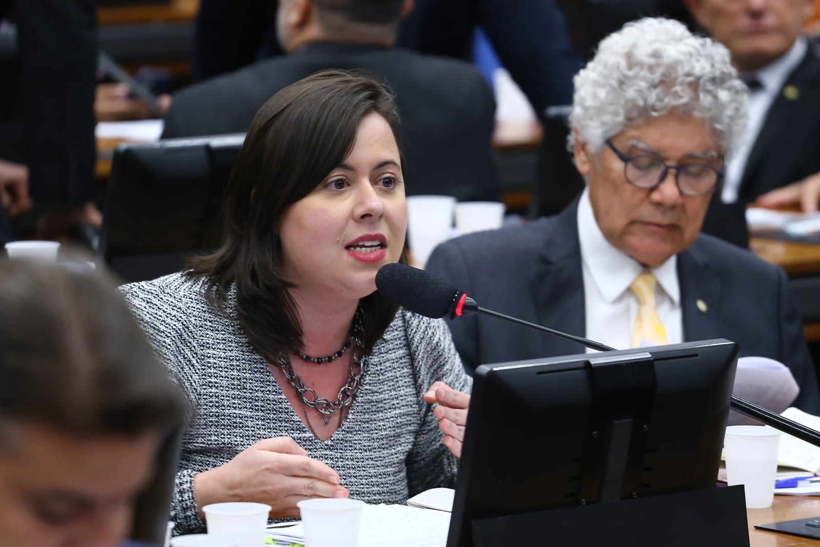 Sâmia Bomfim pede ao TSE transferência temporária de voto para mulheres com medidas protetivas