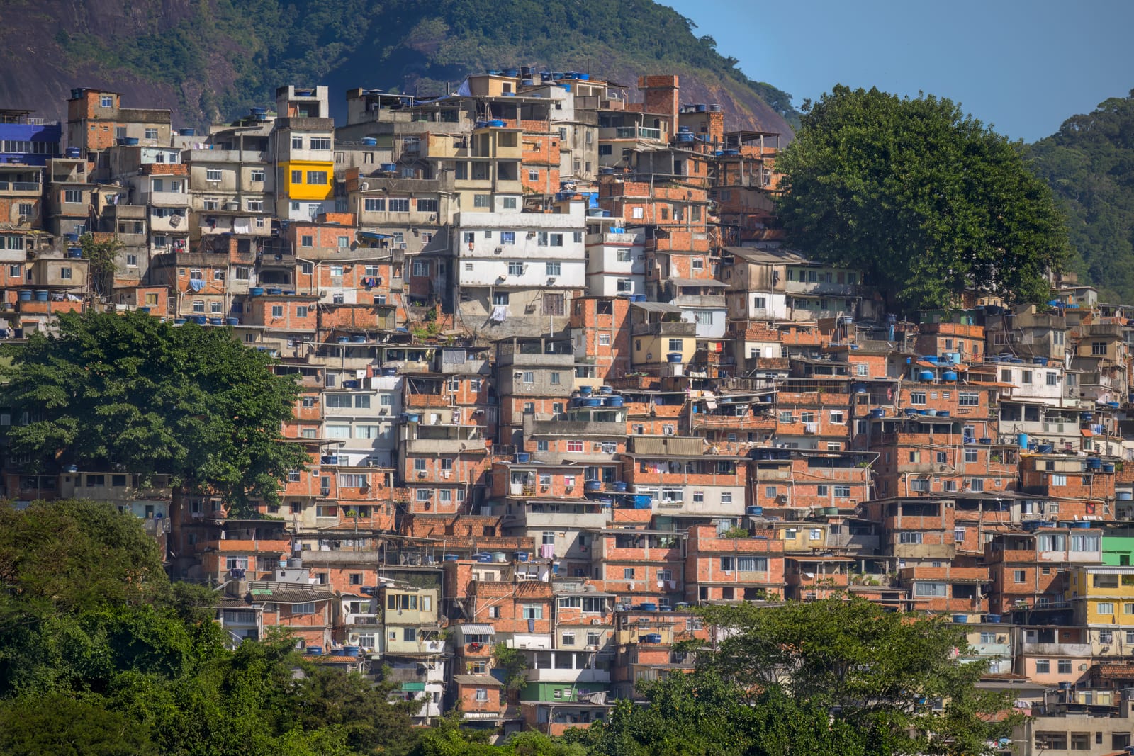 Rio lança plataforma que integra dados sobre violência contra mulheres
