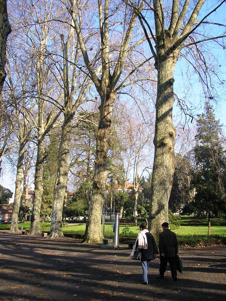 Prédio da Praça Nove de Julho vira futura sede da Promotoria de Bebedouro