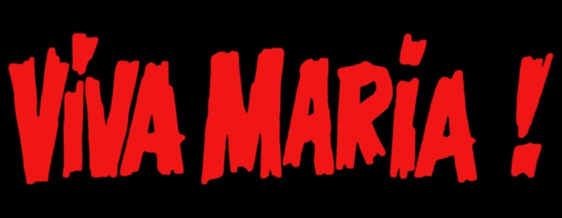 Viva Maria destaca luta pelo fim da escala 6x1 no Senado