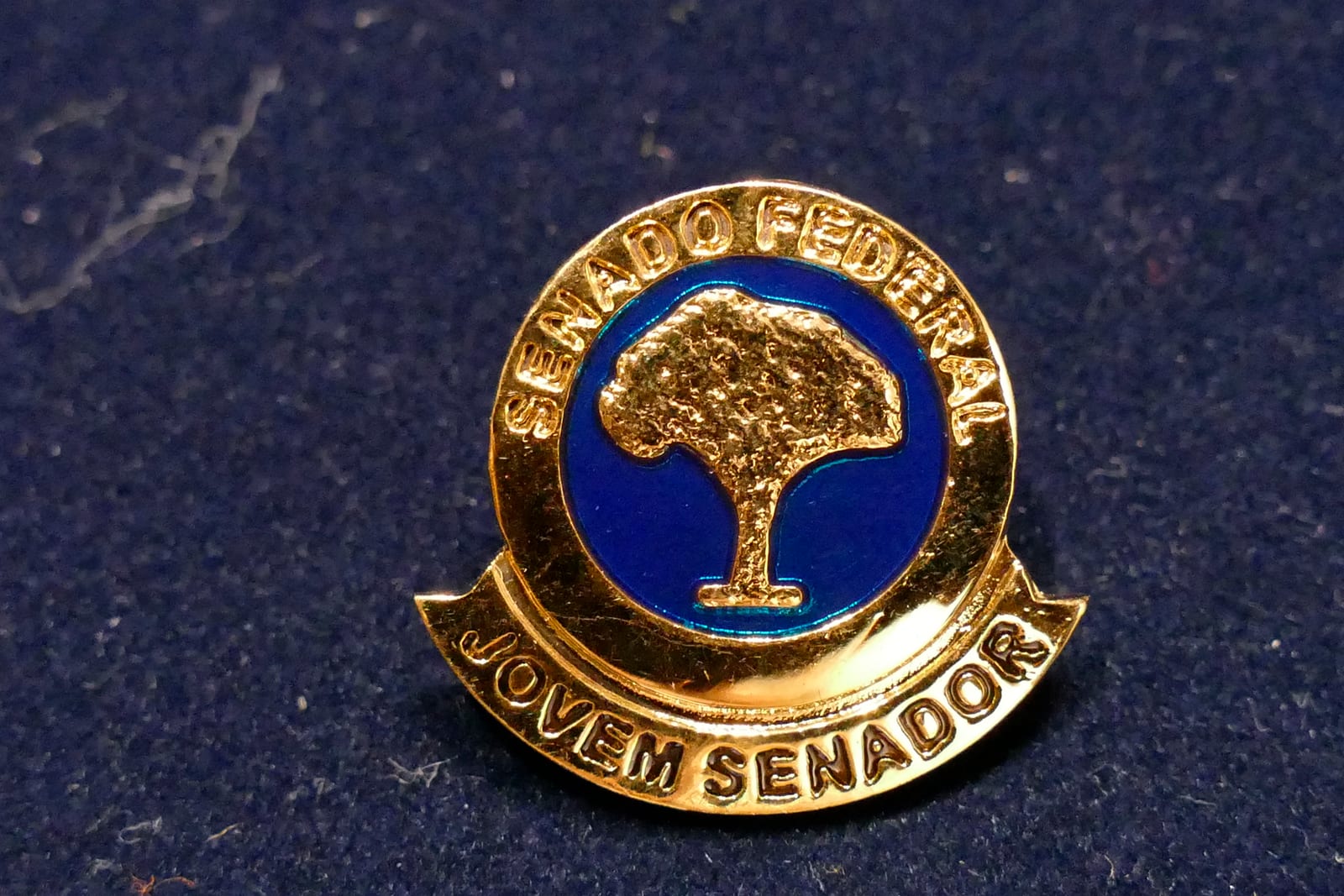 Jovem Senador reúne 27 estudantes em Brasília, de 17 a 21 de agosto