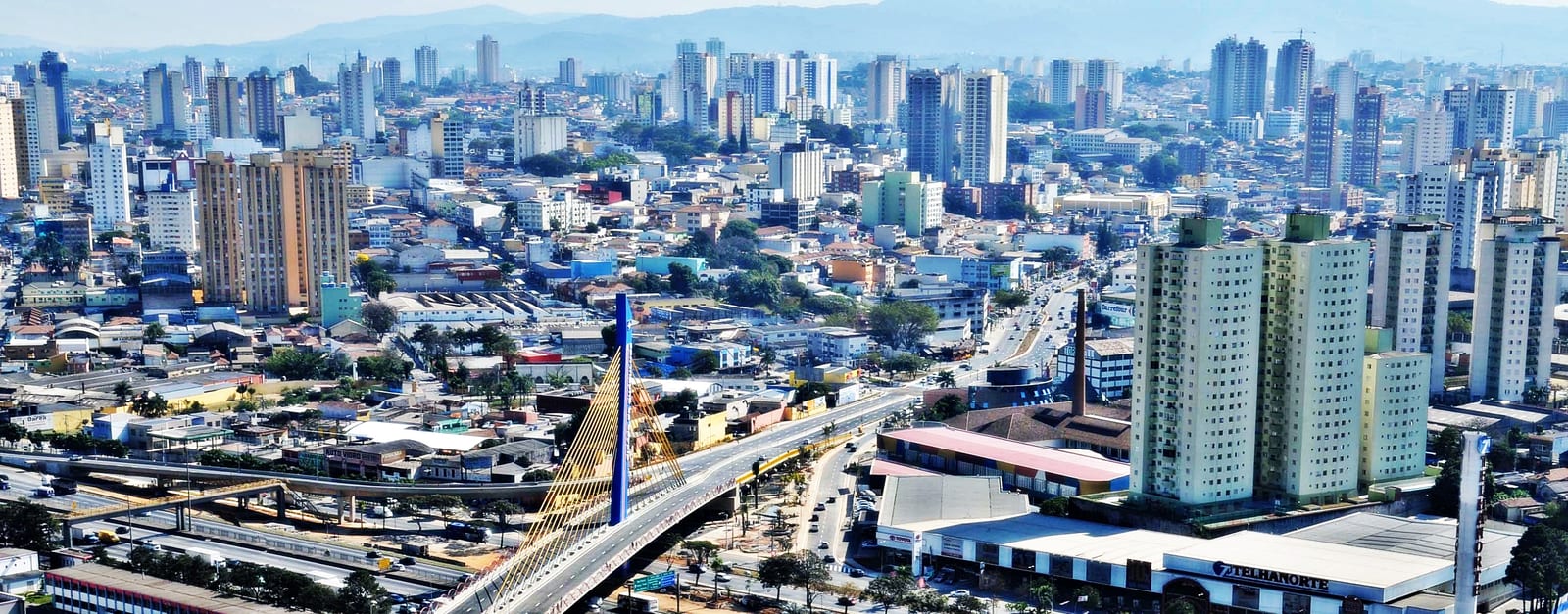 Guarulhos está há um ano sem hospitais veterinários públicos