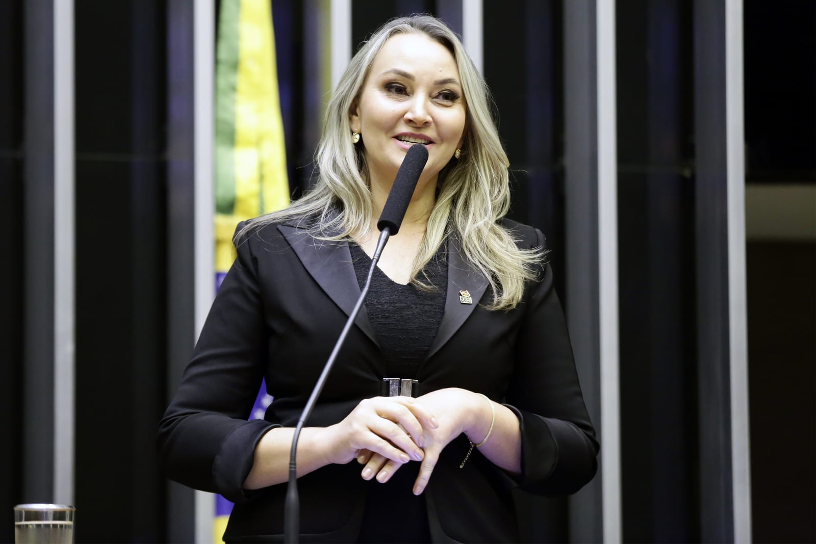 Daniela Reinehr cobra transformar estudos em obras para resolver gargalos da infraestrutura