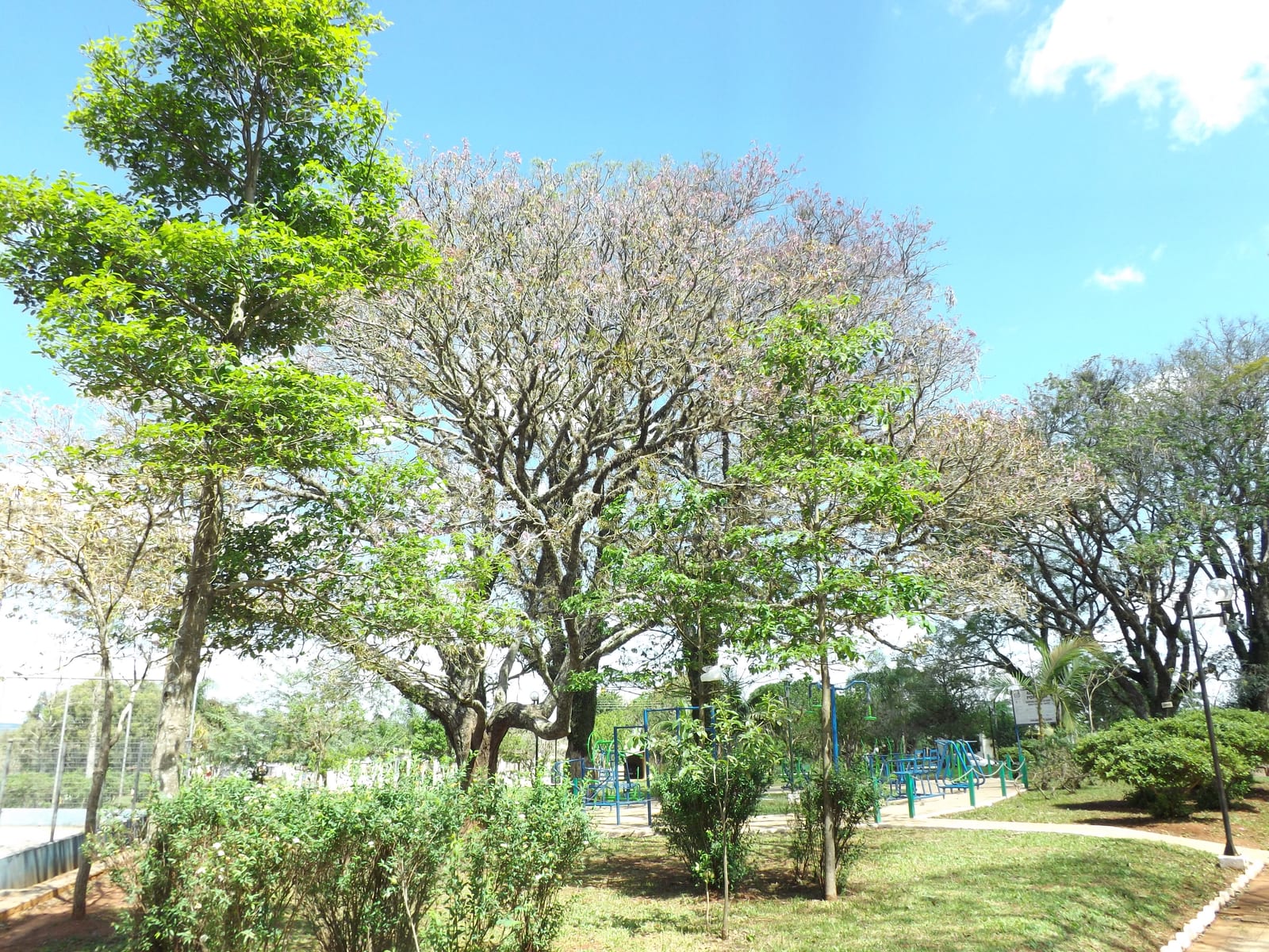 Leite em Manoel Viana para anúncio do Lote 1 da ERS‑176