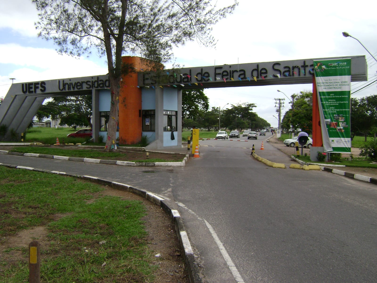 Feira gratuita de mudas de hortaliças será realizada em Lages no dia 3 de setembro