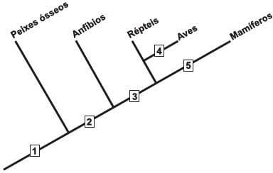Enem PPL abre inscrições em 5 de outubro