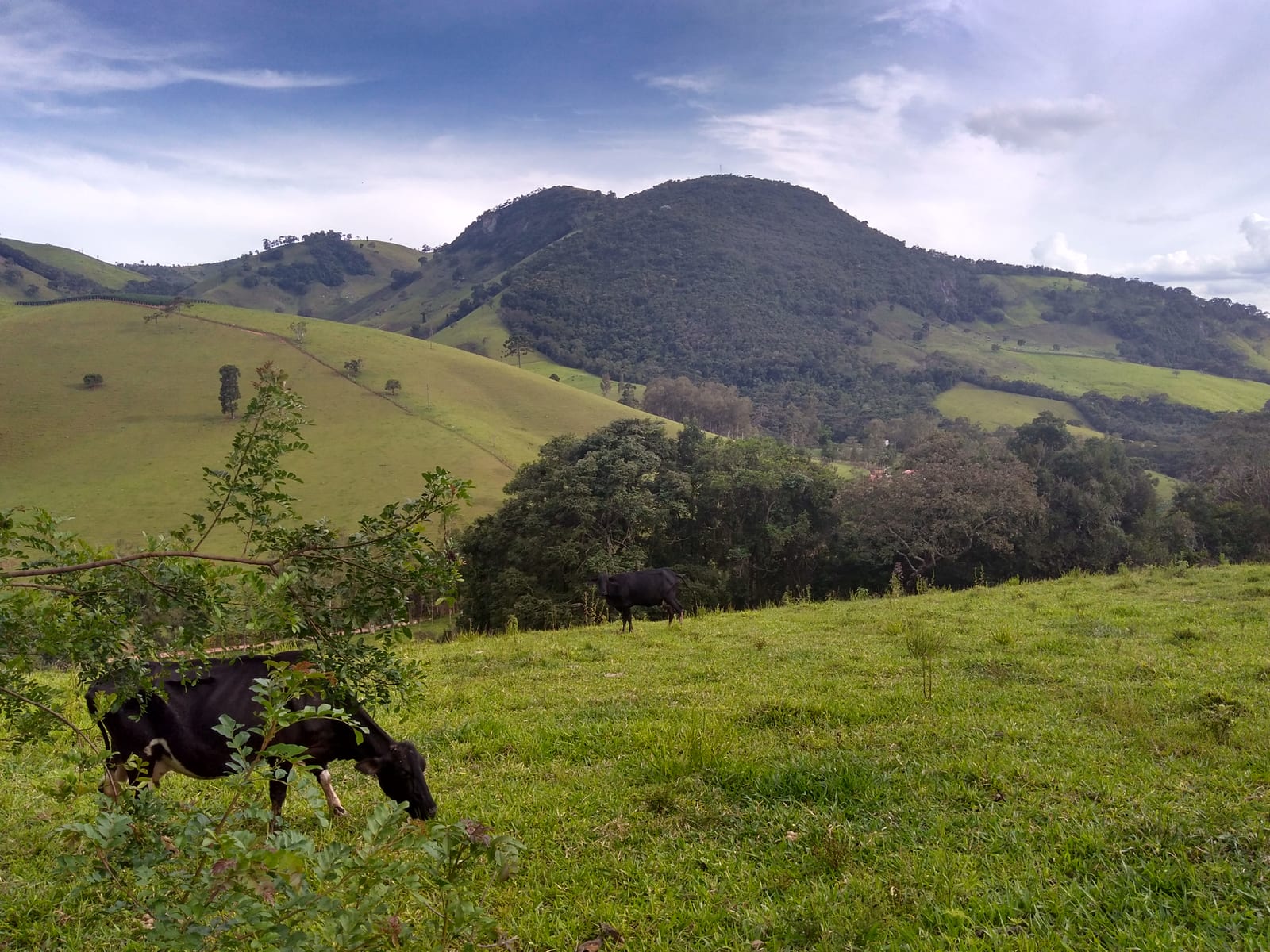 Conectividade Rural ampliou internet e telefonia móvel no Paraná
