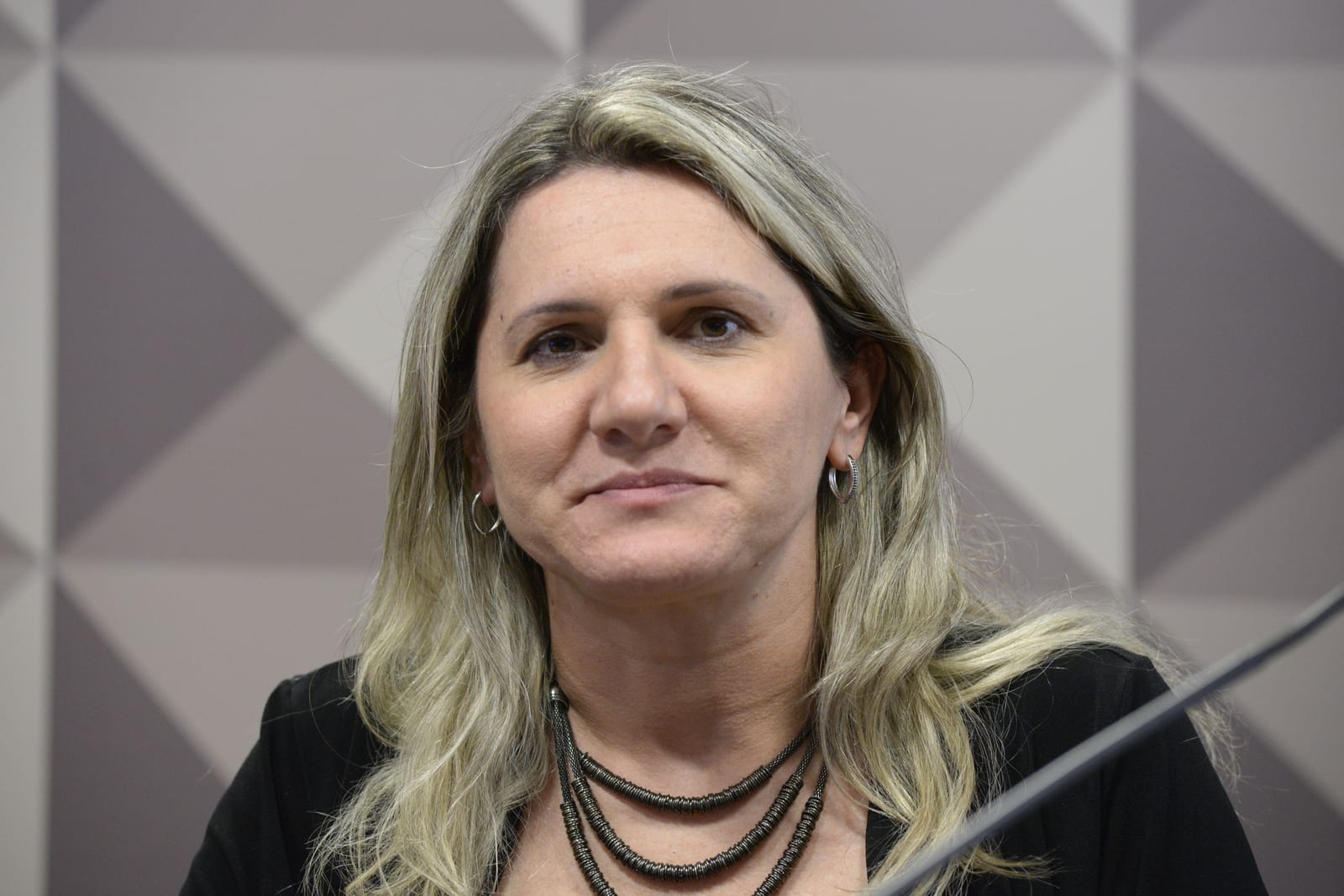 Tania Zanella: próximo presidente deve ampliar crédito e tecnologia no campo
