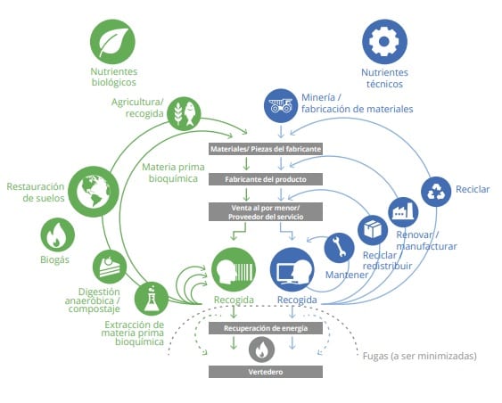 Aprovada na CMA, Semana Nacional de Economia Circular vai à Câmara