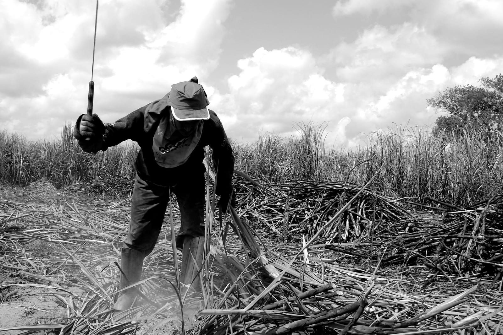 Tocantins tem dois empregadores incluídos na nova Lista Suja do trabalho escravo; casos ocorreram em fazenda e carvoaria
