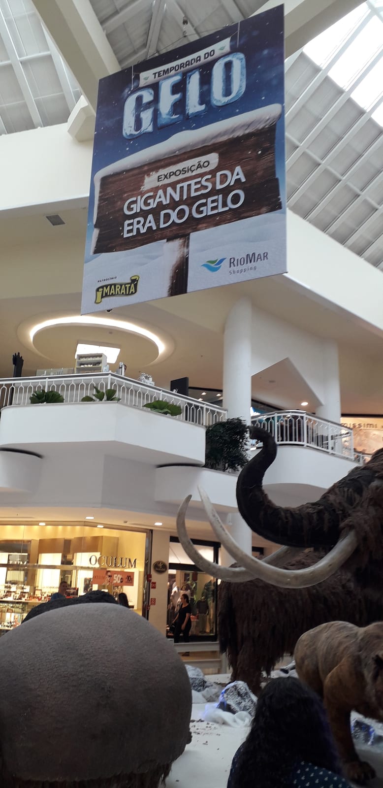 Exposição “Aracaju por Elas” leva mensagens de enfrentamento à violência para espaços públicos municipais