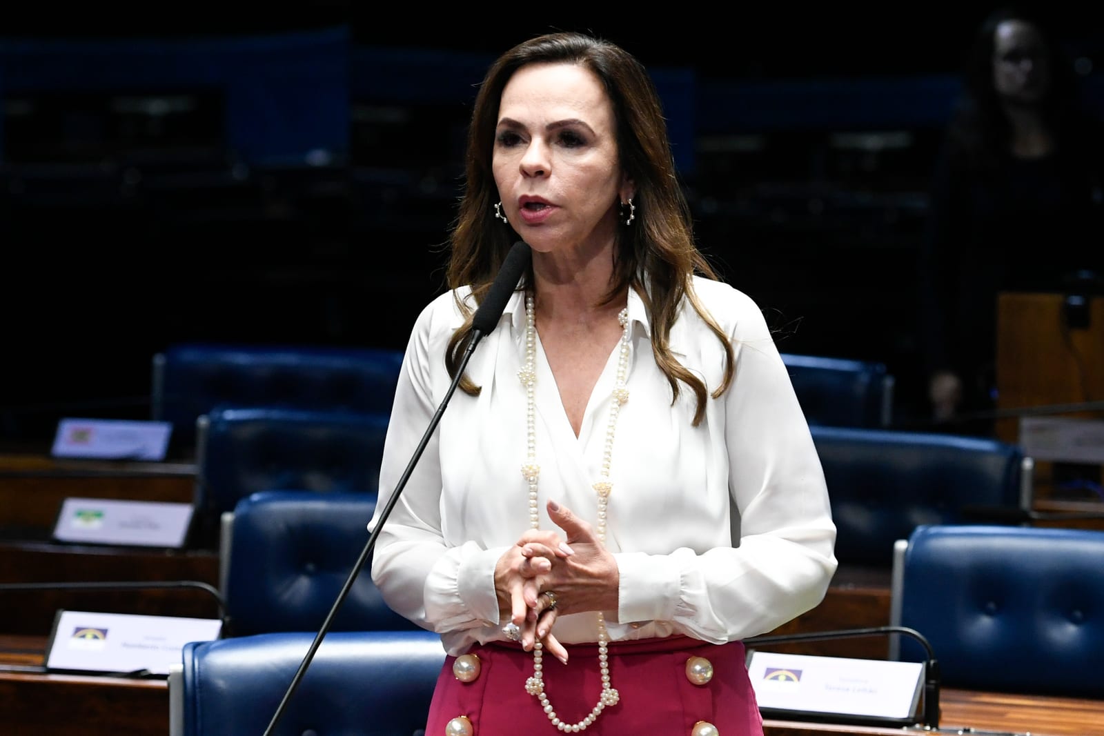 Dorinha Seabra cumpre agenda na Capital e anuncia apoio de 11 vereadores de Colinas e de toda a Câmara de Cachoeirinha