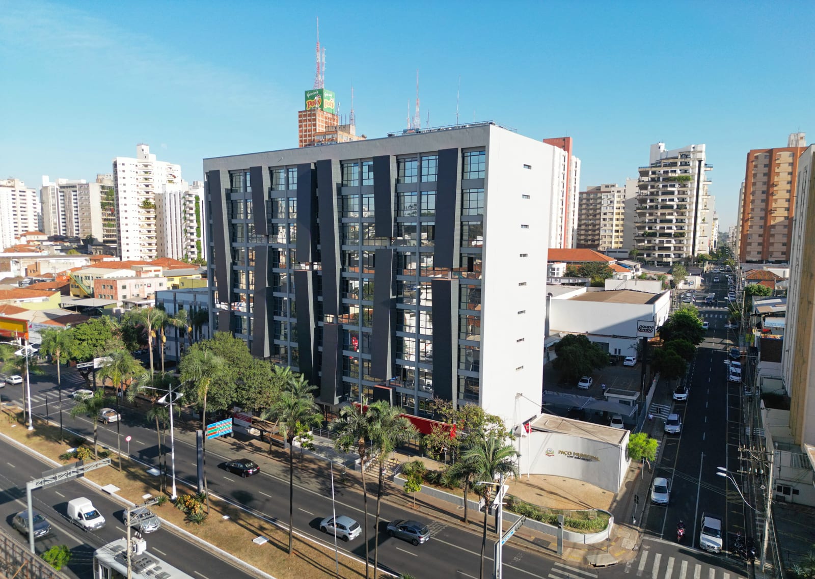 Moradora flagra “poda drástica” em avenida de Rio Preto; Prefeitura esclarece