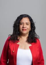HILVANY ARAUJO PINHEIRO