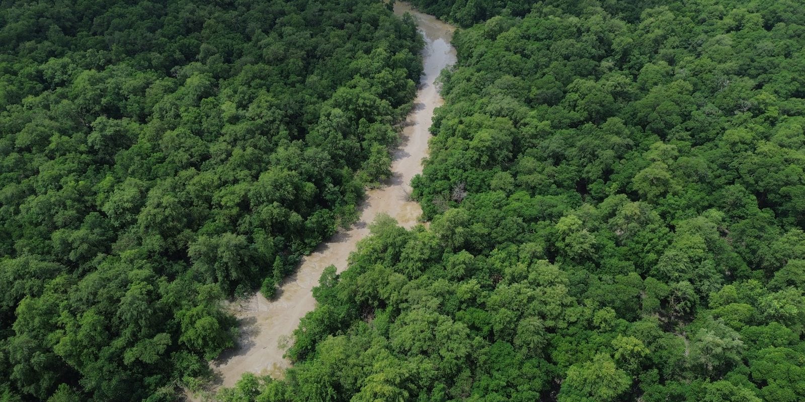 Virada Cultural une Dia da Amazônia (5/9) à contagem regressiva para 4 de outubro