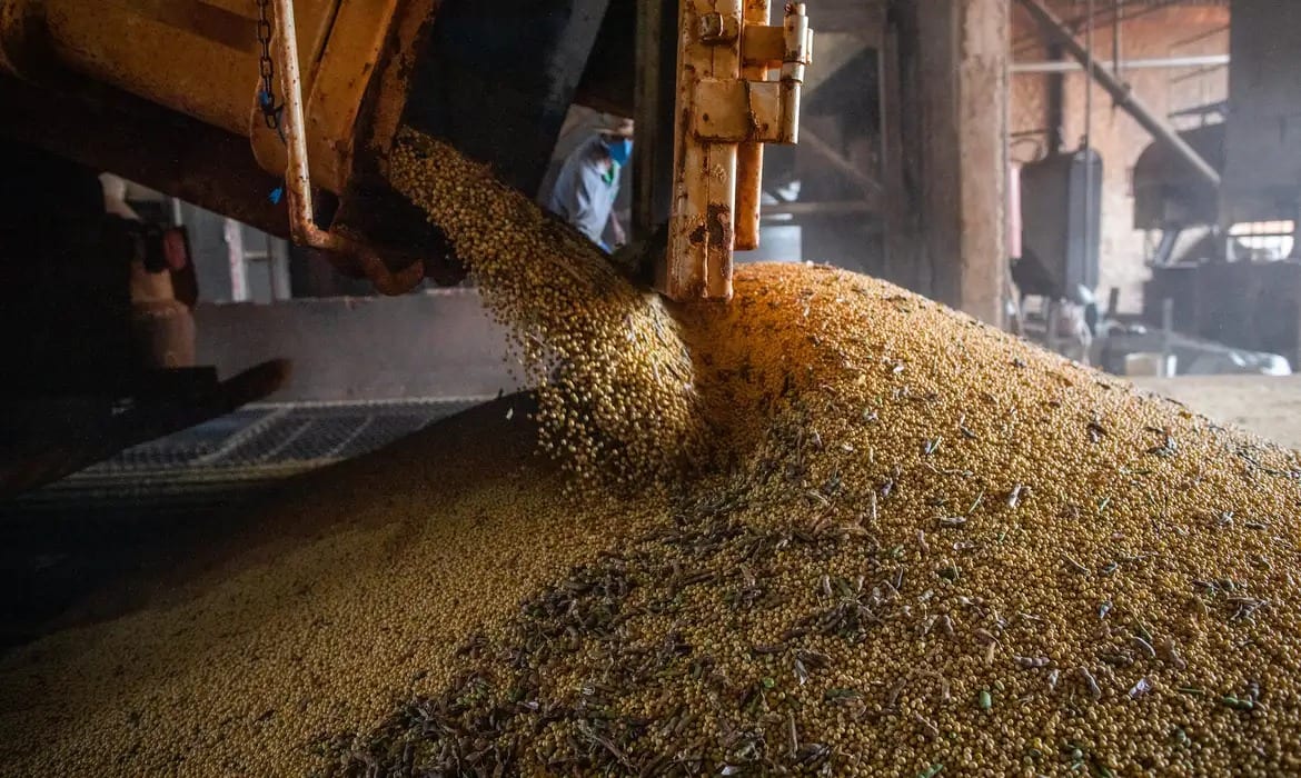 Novo Planalto do Agribusiness: Como o futuro do agronegócio impactará sua vida