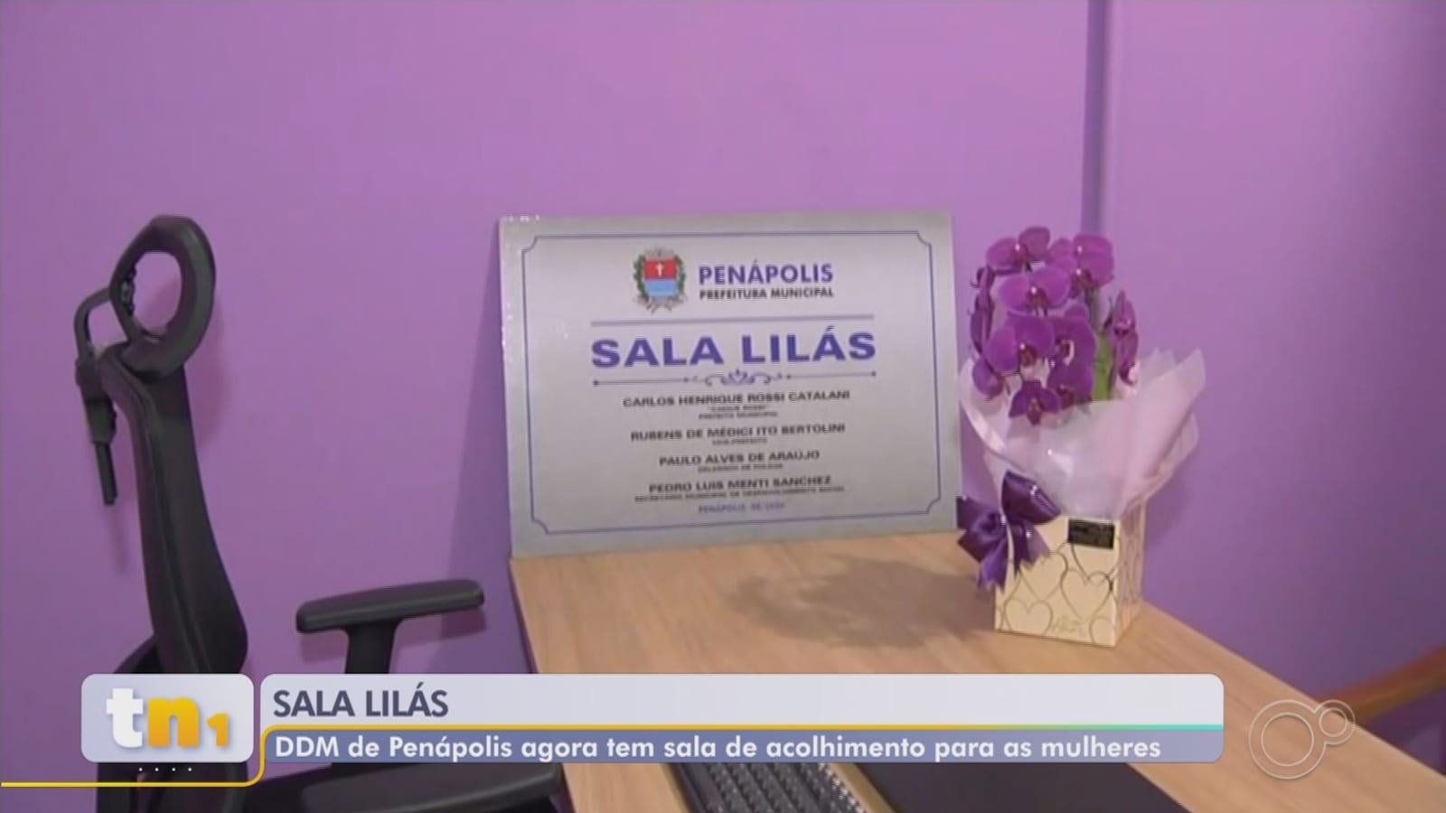 Auxílio-aluguel beneficiou 256 mulheres vítimas de violência em Rio Preto