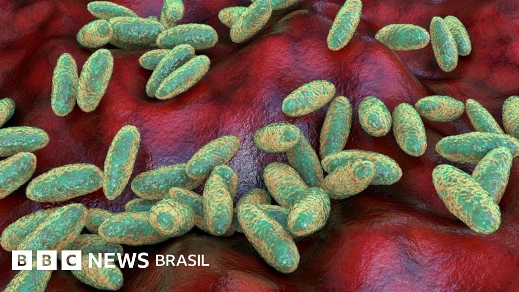 O que é a peste pneumônica e como ela se espalha?