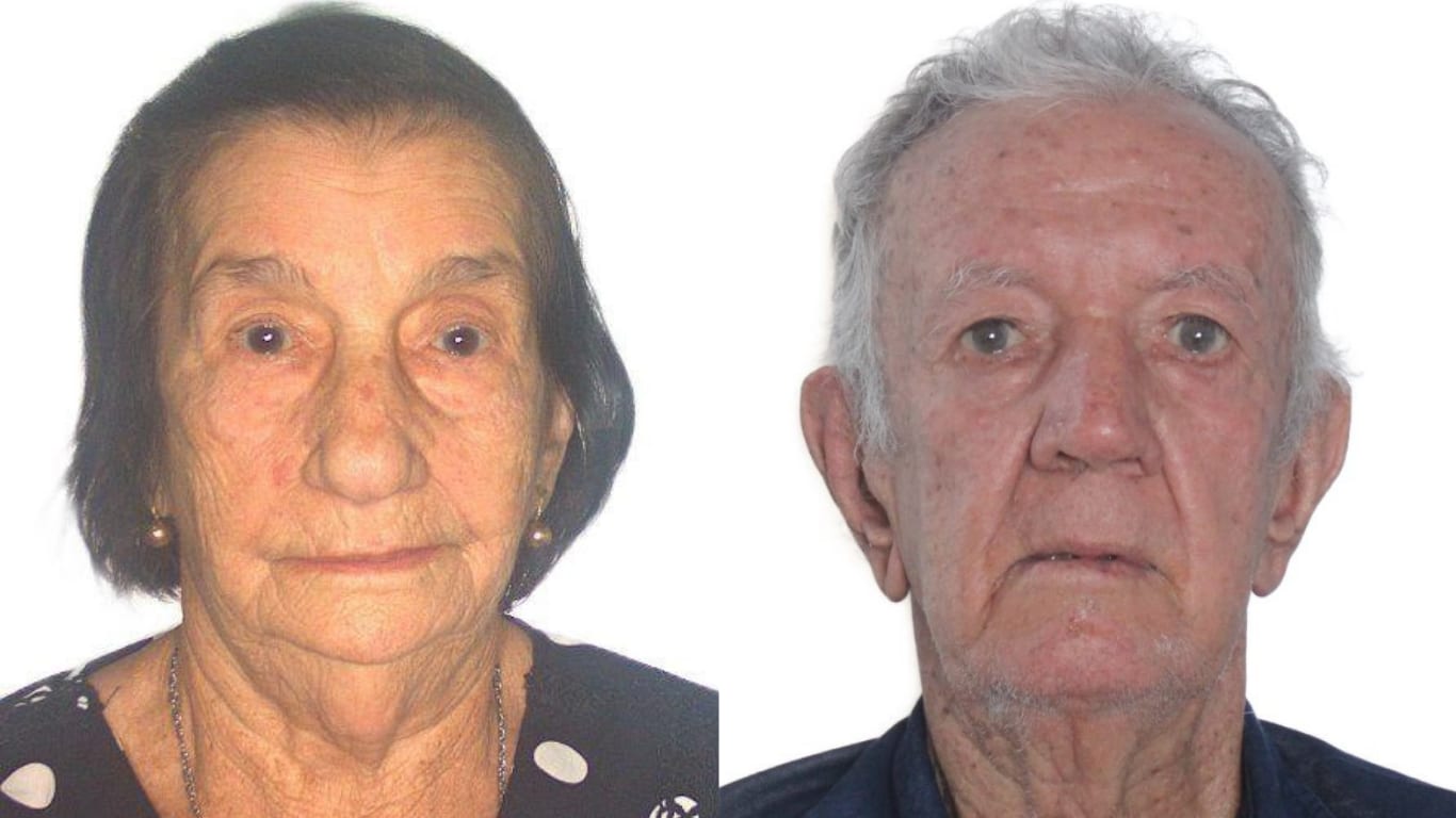 Casal de idosos morre após colisão entre caminhonetes na GO-221, em Doverlândia