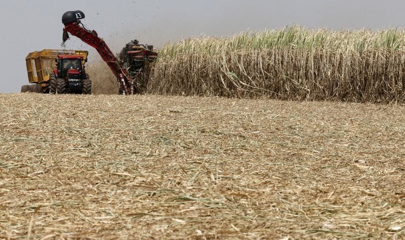 Governo de SP cria diagnóstico sobre perdas para apoiar produtor rural