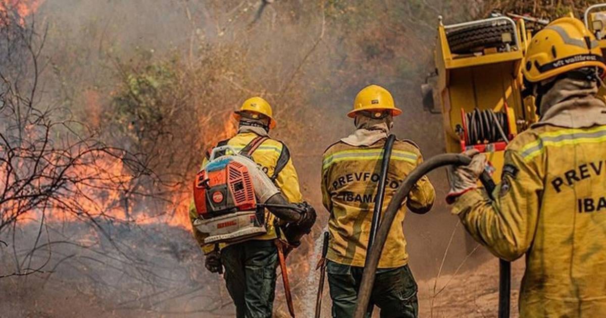 Governo reconhece estado de emergência em 36 cidades do Amazonas por avanço de incêndios