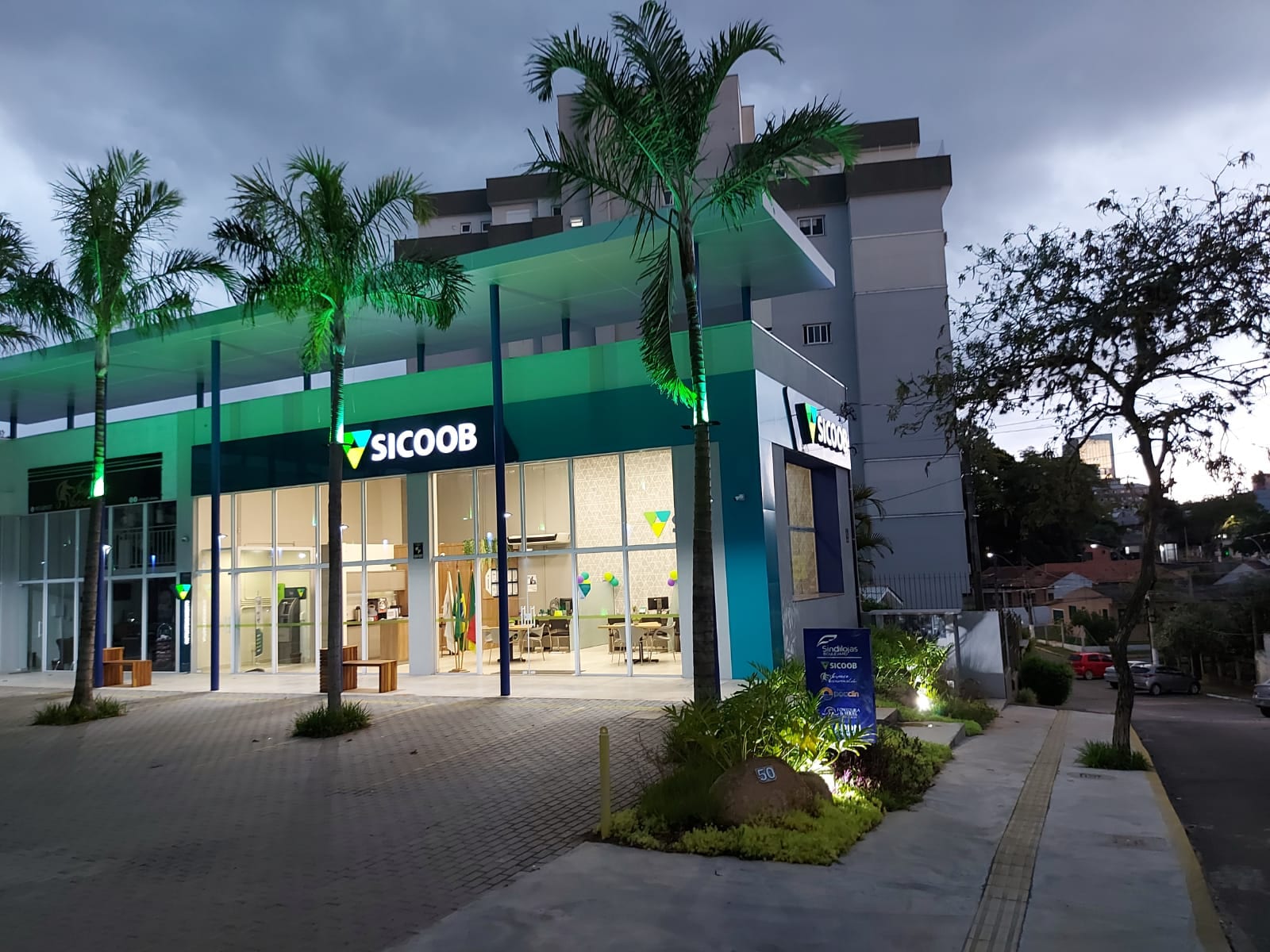 Sicoob aposta no TikTok para ampliar educação financeira entre jovens adultos