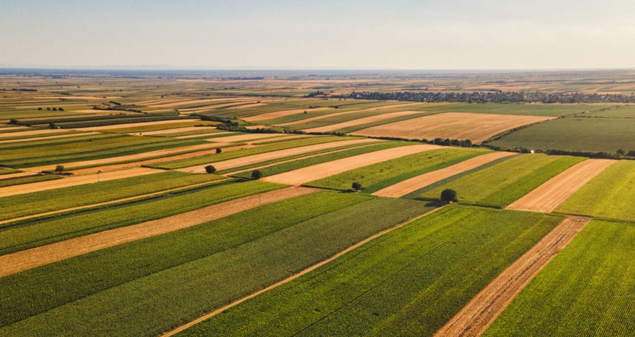Análise: Eleições e agronegócio: mais do que acenos, o setor precisa de previsibilidade