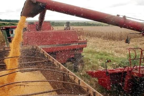 Agro pressiona governo por regulamentar MP que renegocia dívidas