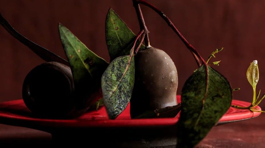 Restaurante premiado tem formigas-verdes e limão-do-deserto entre ingredientes de cardápio