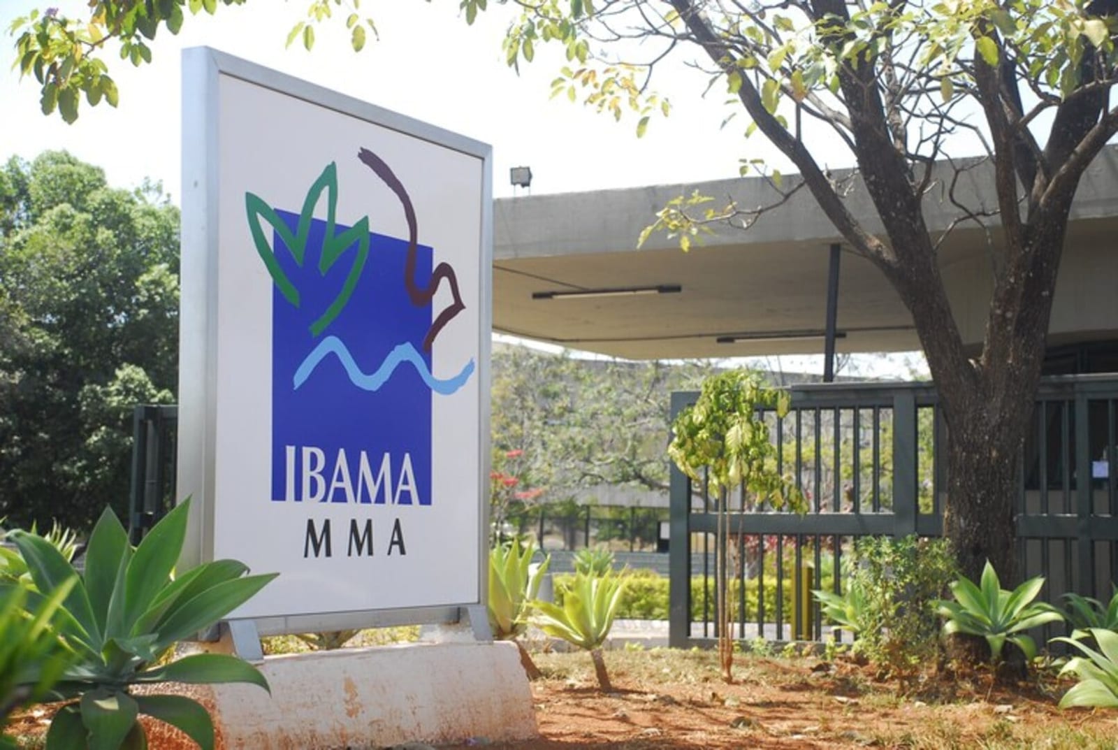 TCU mantém recursos de acordos ambientais no orçamento da União