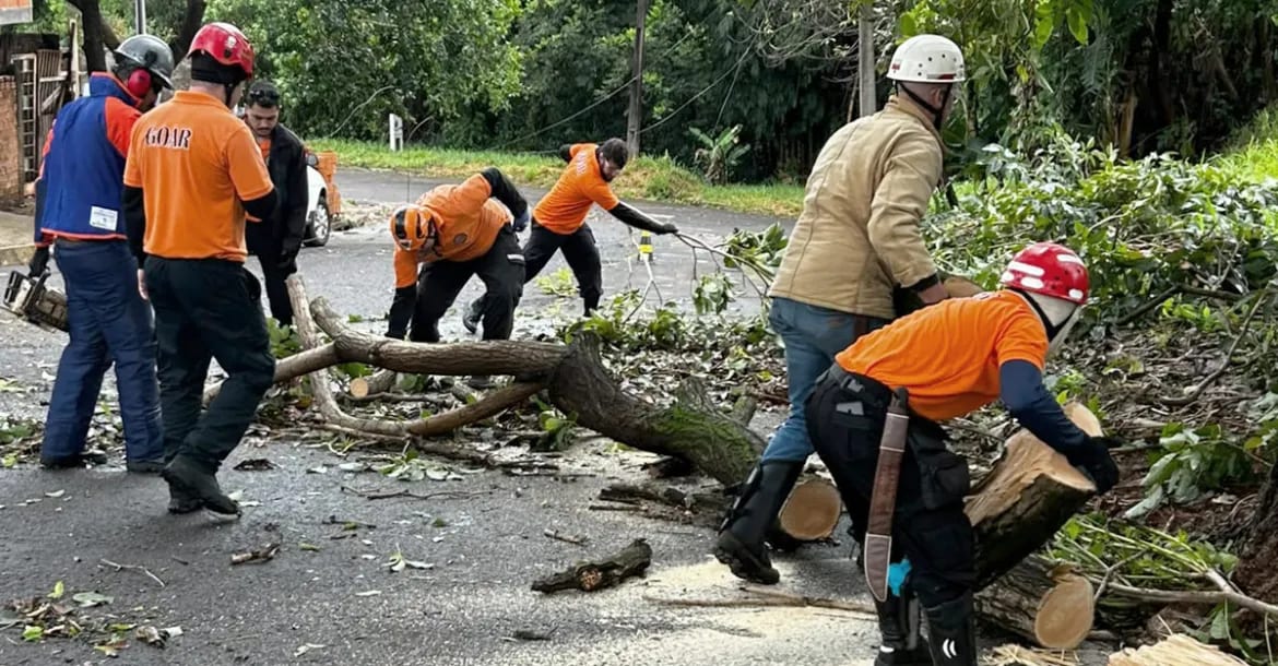 Força-tarefa da Prefeitura atende 121 ocorrências após chuva e rajadas de vento em Londrina