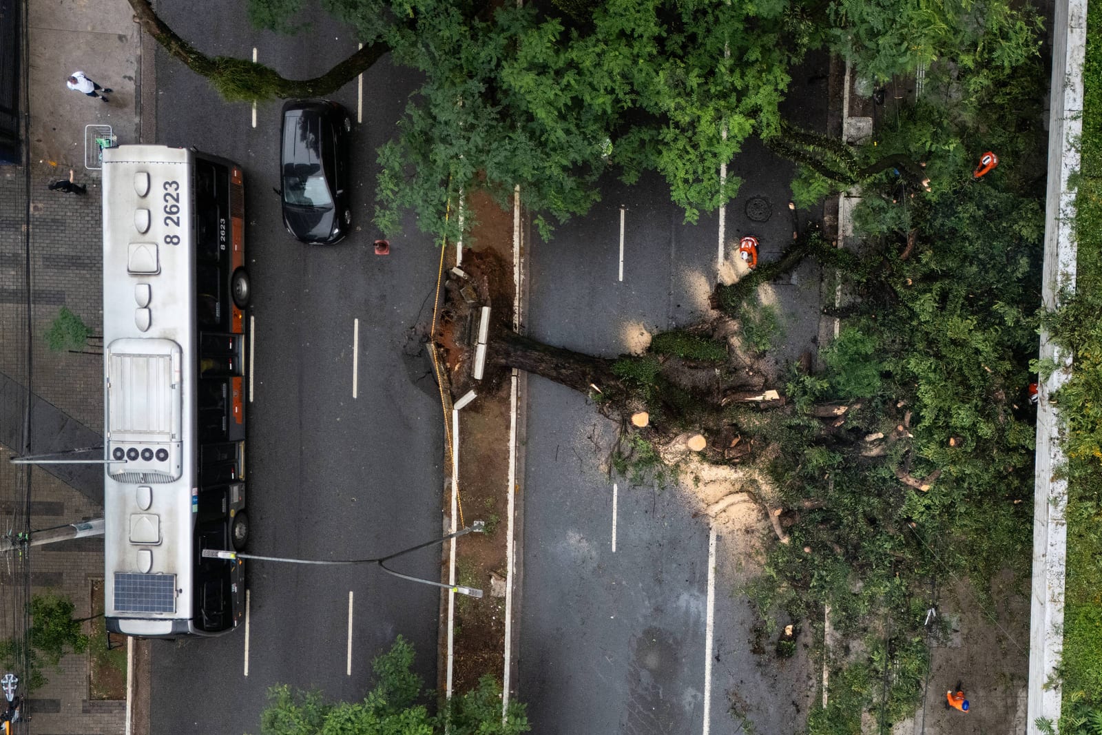Chuva e falta de ônibus prejudicam votação do segundo turno neste domingo (25)
