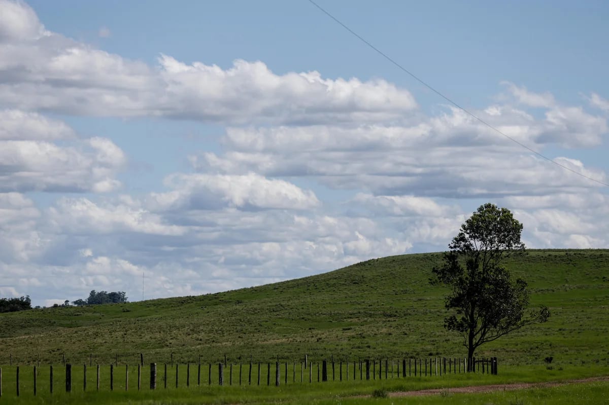 O que explica a alta abstenção em municípios de grande extensão rural no RS