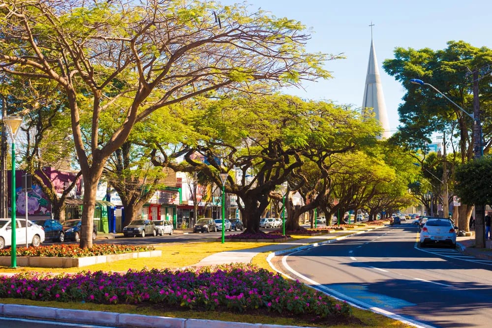 Prefeitura sanciona nova fase da Lei Desenrola Maringá