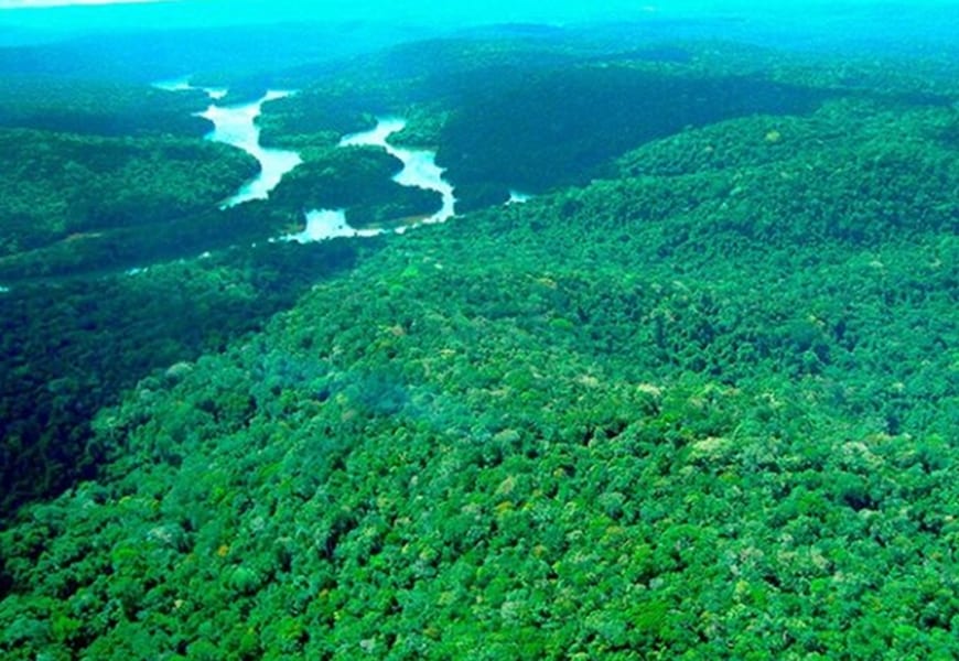 Com Lula Brasil registra o menor desmatamento da história na Amazônia e no Cerrado