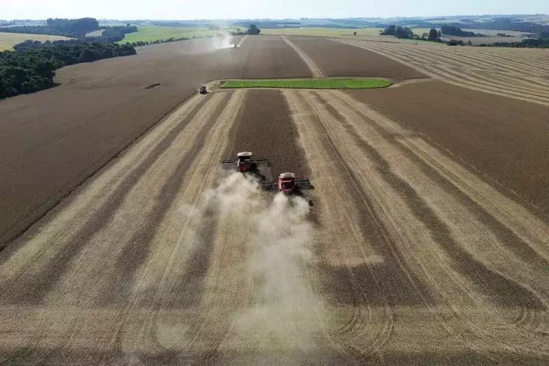 Governo gaúcho seleciona negócios inovadores do agronegócio para capacitação internacional