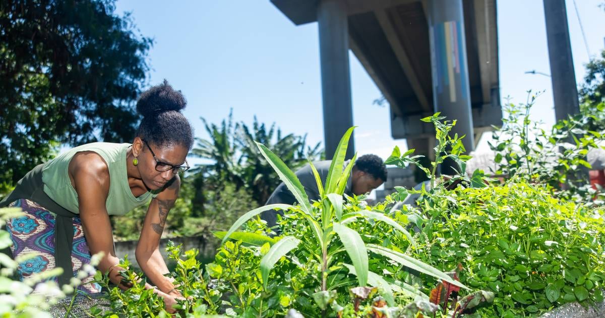 Mulheres da periferia de SP transformam terreno tomado por entulho em horta urbana