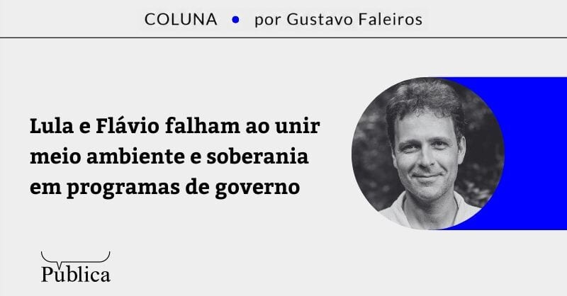 Lula e Flávio falham ao unir meio ambiente e soberania em programas de governo