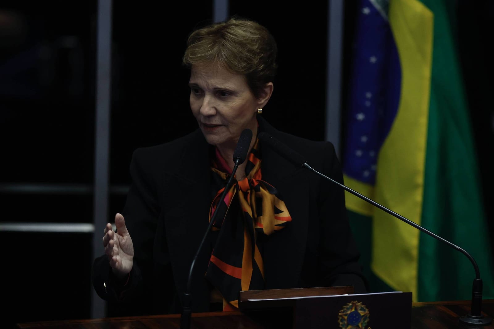 Aliada de Flávio, Tereza Cristina fala em fiscalizar governo na oposição e não cita questionamento à eleição