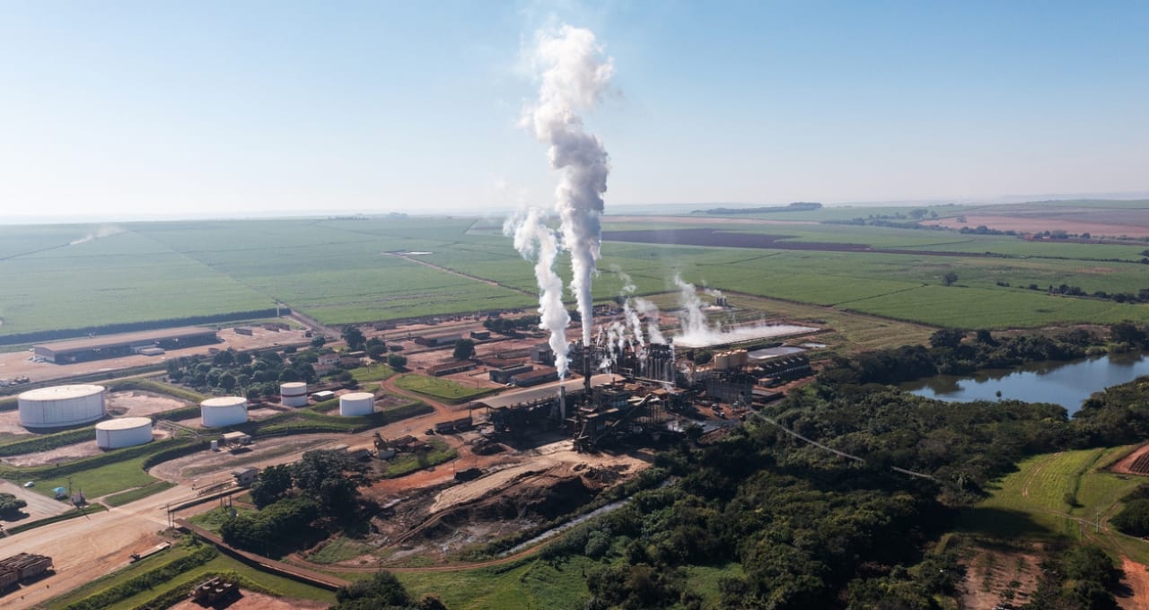 São Martinho (SMTO3): lucro deve cair no 2T27, mas Citi vê melhora no horizonte e eleva preço-alvo