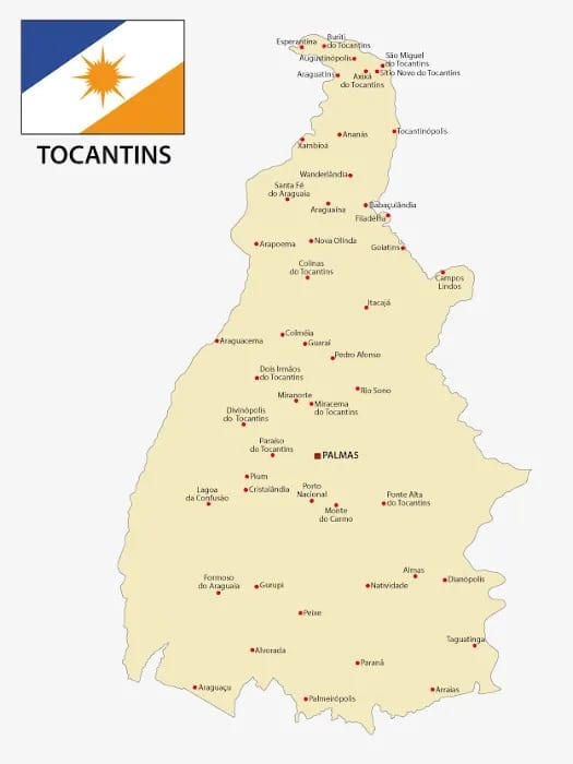 Região Central concentra 43,2% dos eleitores do Tocantins; Palmas tem a maior zona