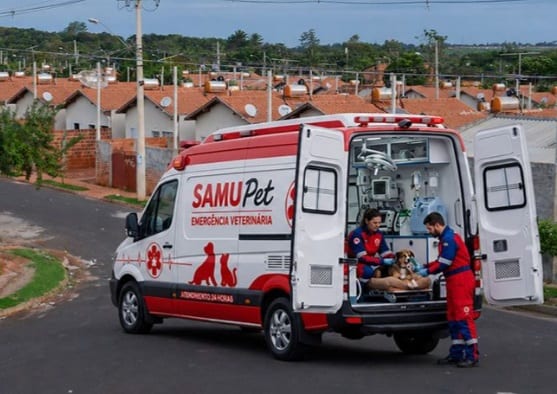Câmara de Araçatuba aprova diretrizes para instalação do SamuPet